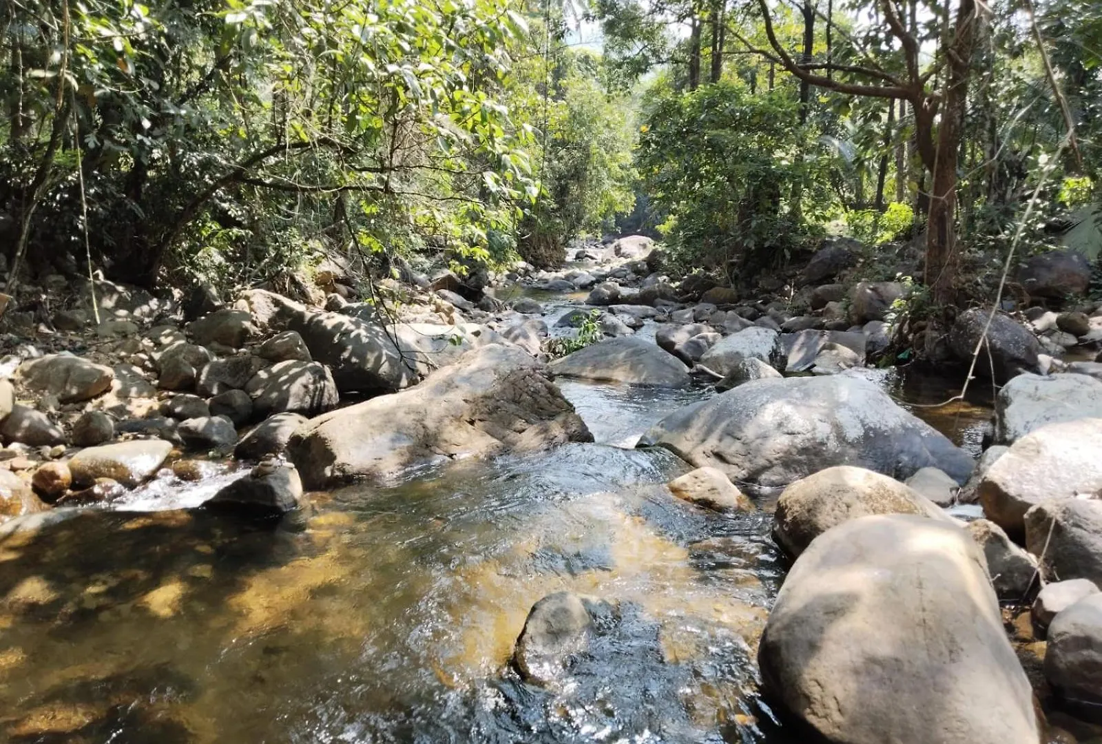 Δωμάτια σε οικογενειακή κατοικία Creekshore Home Stay Kallār Ινδία