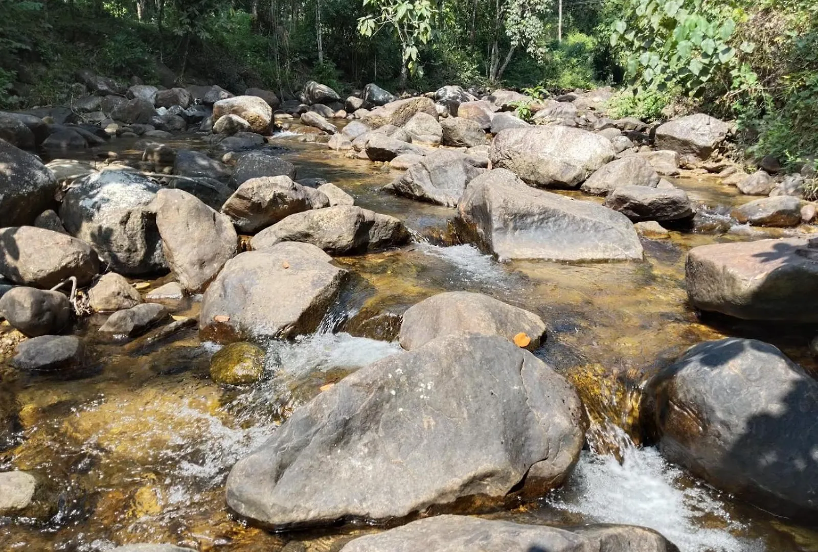Creekshore Home Stay Kallār